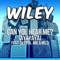 Can You Hear Me? (ayayaya)(feat. Skepta JME & Ms D)