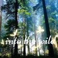 烨熔、Fx凡哲 - Into The Wild
