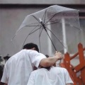 网络歌手 - 女驸马
