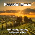 Peaceful Music for Sleeping, Relaxing, Meditation, to Rest