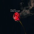 NPV、Liont - Liebe tut weh (feat. Liont)