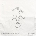 Charlie Kaplan - Small Business