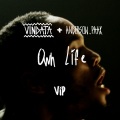 Own Life (feat. Anderson .Paak)(VIP Mix|Explicit)