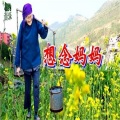 水城小坤 - 西去的平安路