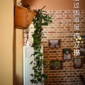 许立琳 - 走过咖啡屋