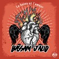 Bassam Jalid - La Haine Et L Amour (Radio Edit)