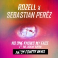 No One Knows My Face (feat. Sir Jeremy Green)(Anton Powers Remix)