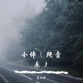 夏松林 - 小伴 (纯音乐)