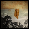 Doubting Thomas - 4 Years