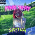 Sativa - Пульт