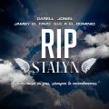 RIP Stalyn