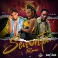 Senorita (Remix) [Explicit]