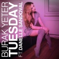 Tuesday (feat. Danelle Sandoval)(Radio Edit)