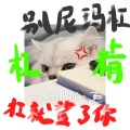 冰山lk、虞扬沙 - 杠上开花