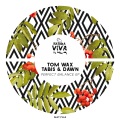 Perfect Balance (Tom Wax Mix)