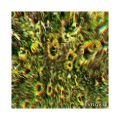 Fellipe Octavio - Sunflower (Alan Becker Remix)