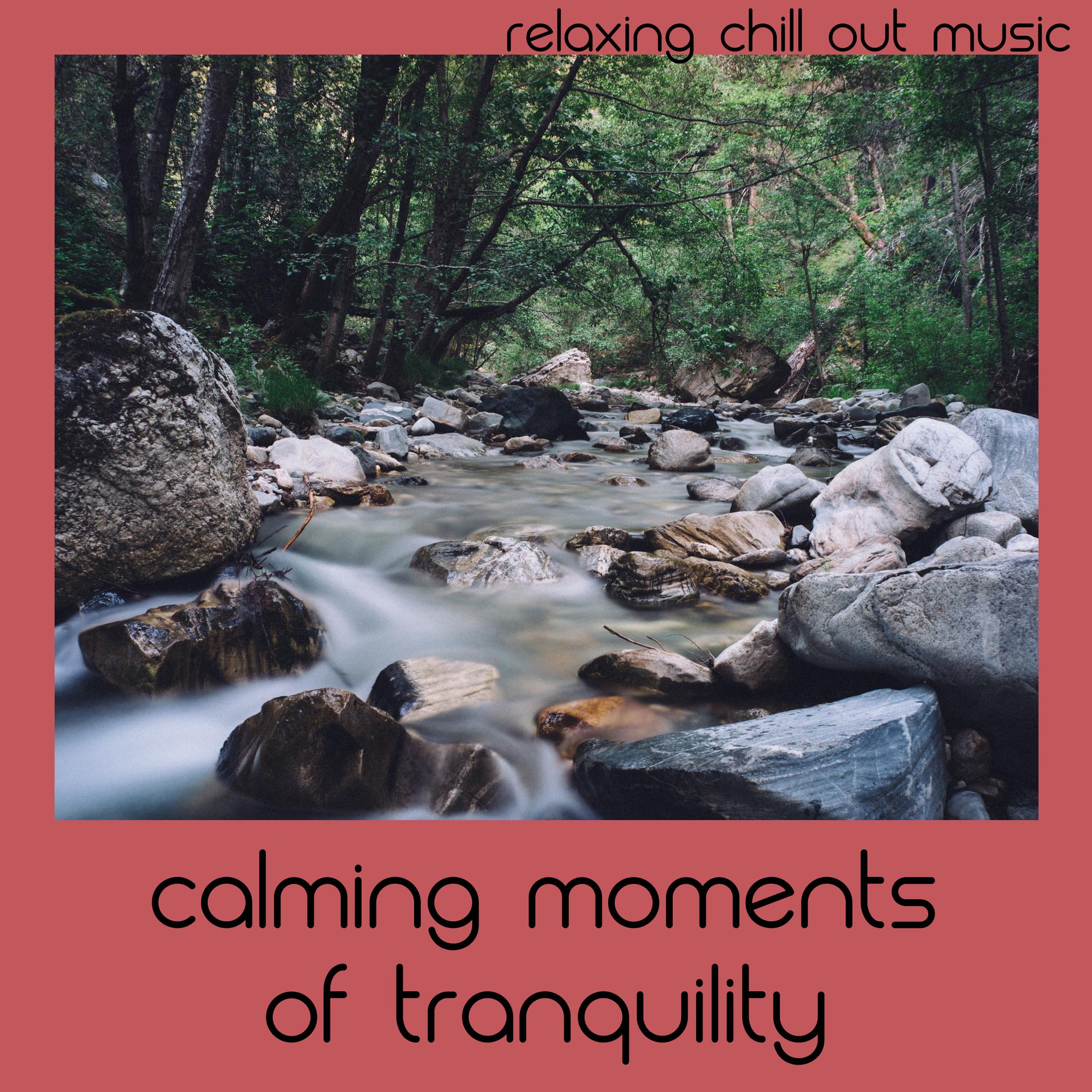 Caming Moments Of Tranquility