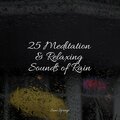 ASMR Rain Sounds、Sleep Makers Samples、Sleepy Times - Rainy Roads