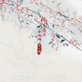 卢一帆 - 杨花落尽子规啼