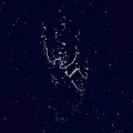 Louise、1000 o2 - Drukner (feat. Louise & 1000 o2)