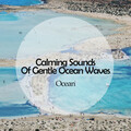 Isochronic Tones Brainwave Entrainment、Sleep Sounds、Pure Work Music - By The Dock