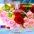 刘鸿 - 爱的浪漫曲 (纯音乐)