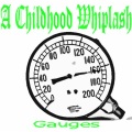 Gauges
