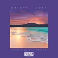 Drigyy、Sam Beach - Lust (SamBeachRemix)