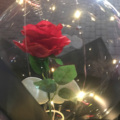 温诗 - 诗人莫把红颜醉