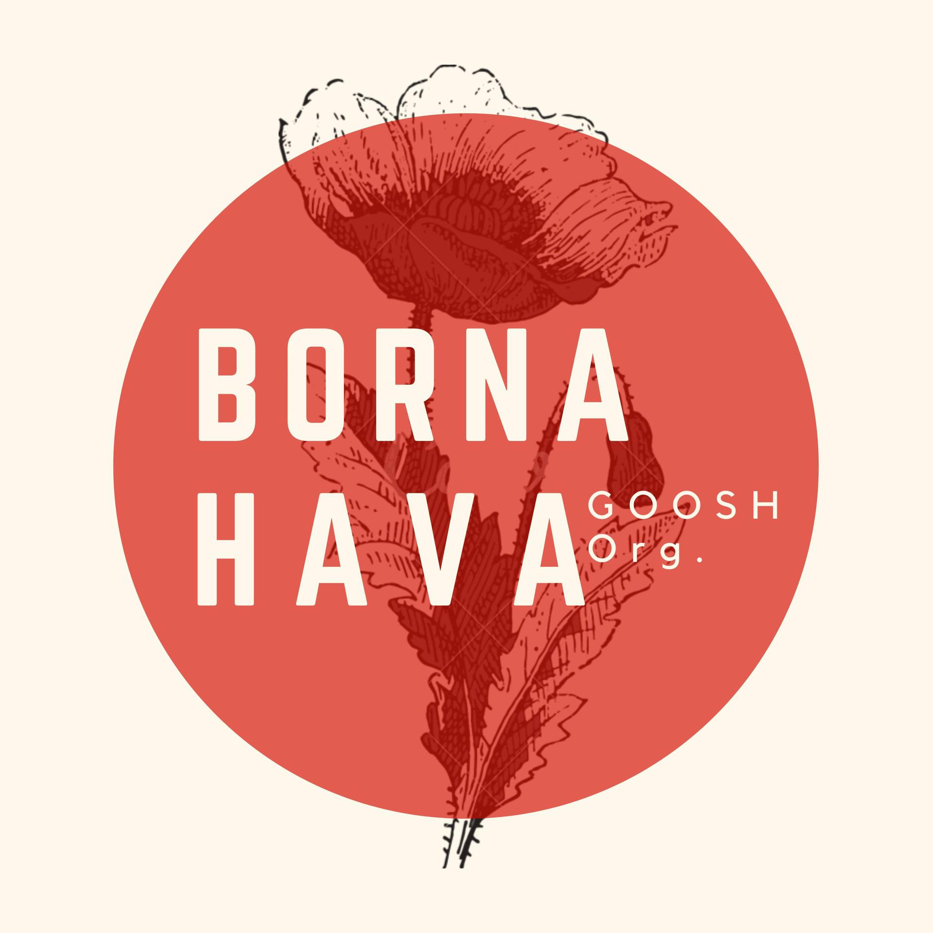 Borna - Aab