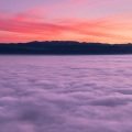 The Serenity Sway 2021: Essential Relaxation Calming Mix