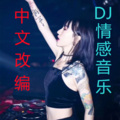 鑫鑫音乐酷站 - 泪蛋蛋都为情哥哥流 (改编版)