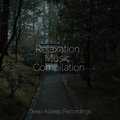 Relaxation Music Compilation