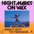 Nightmares on Wax、Greentea Peng - Wikid Satellites