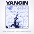Umut Dogan、Mert Hakan、Mustafa Oflaz - Yangın