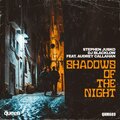 Shadows of the Night