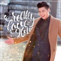 Noo Phước Thịnh - Really Love You