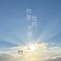 齐豫 - 你是我的天使