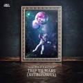 Sub Zero Project - Trip To Mars