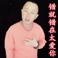 盘锦兵哥 - 错就错在太爱你