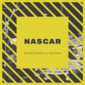 BLAGODAREN、Vestnik - Nascar