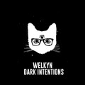 Dark Intentions