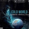 Haylie Nichole、Rsn Brzy、Drizzy - Cold World (feat. Haylie Nichole & Rsn Brzy)(Explicit)