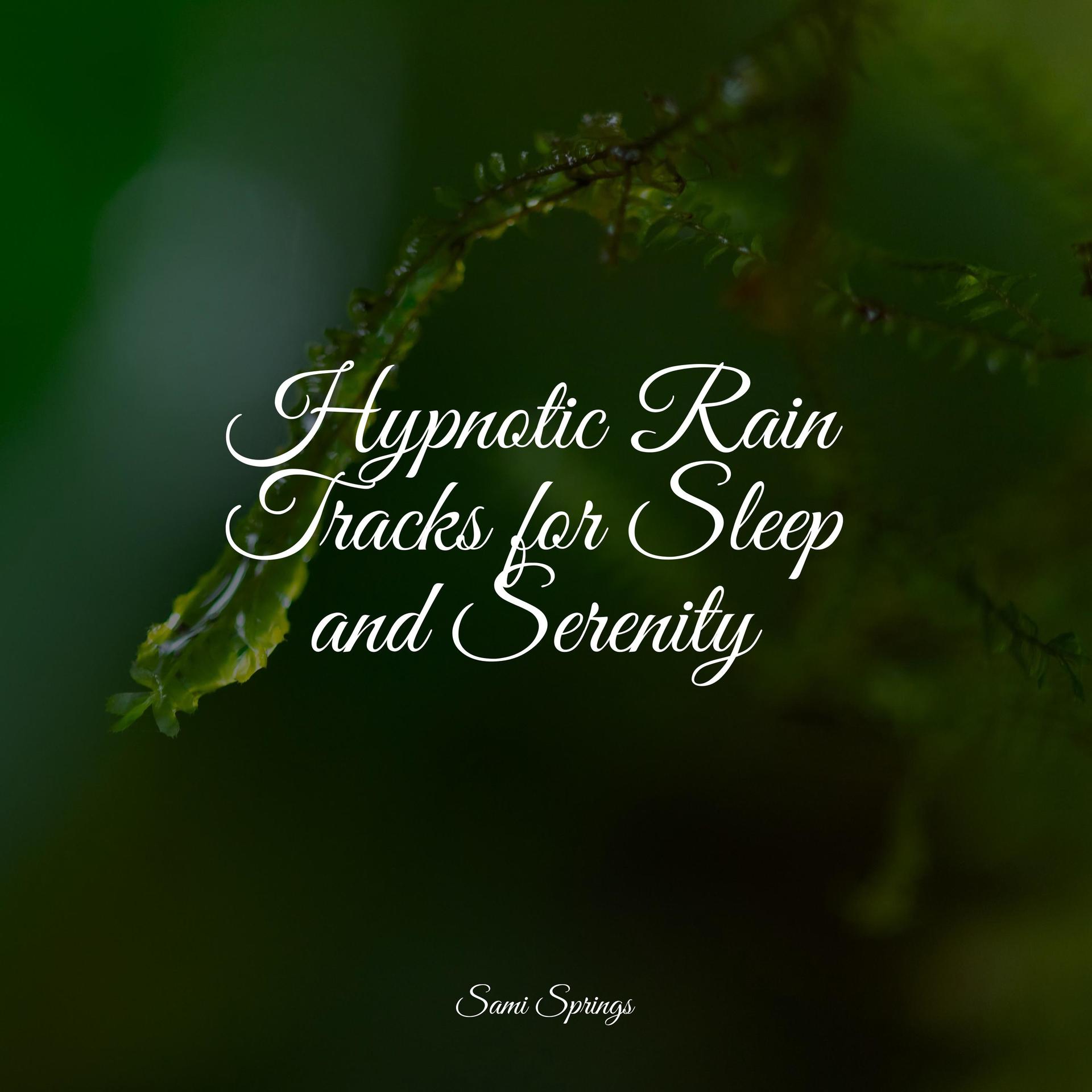 ASMR Sleep Sounds、Childrens Music、Spa Zen - Crackling Campfire