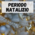 Periodo Natalizio