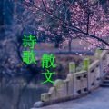 左右成妍 - 面朝大海，春暖花开 (海子)