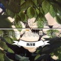 陈茂源 - 八句话让你了解，金牛座不是你想的那个样子