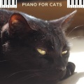 Piano for cats - Музыка для кошек