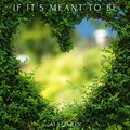 Macaro - If It's Meant To Be