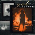 Tolga Zehilli、Damon - Yak (feat. Tolga Zehilli)(Explicit)